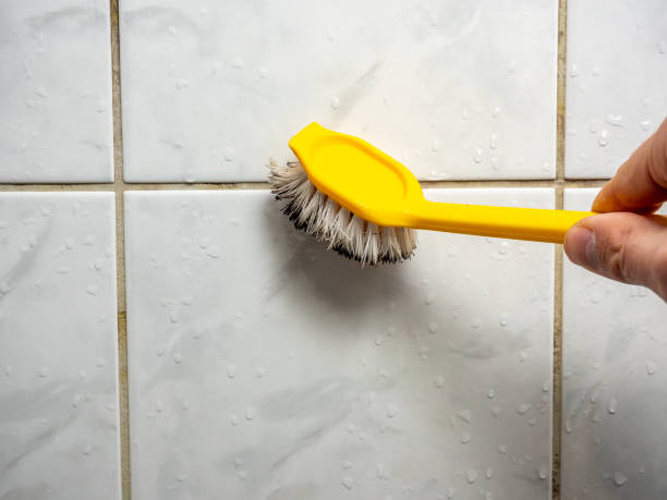 Best Basement Mold Remediation in Loyal, WI